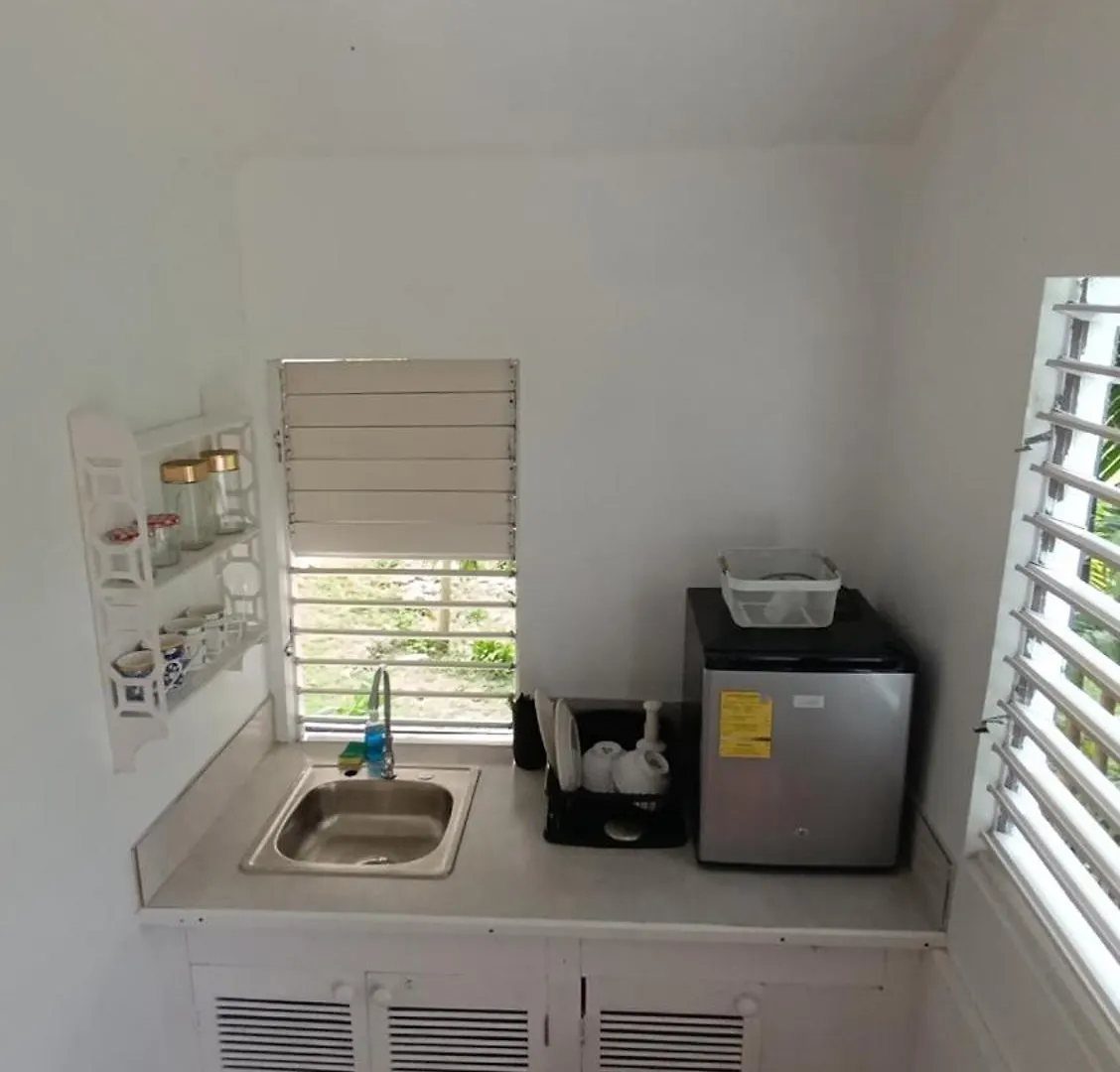 Guest house Mikuzi Hotel Port Antonio