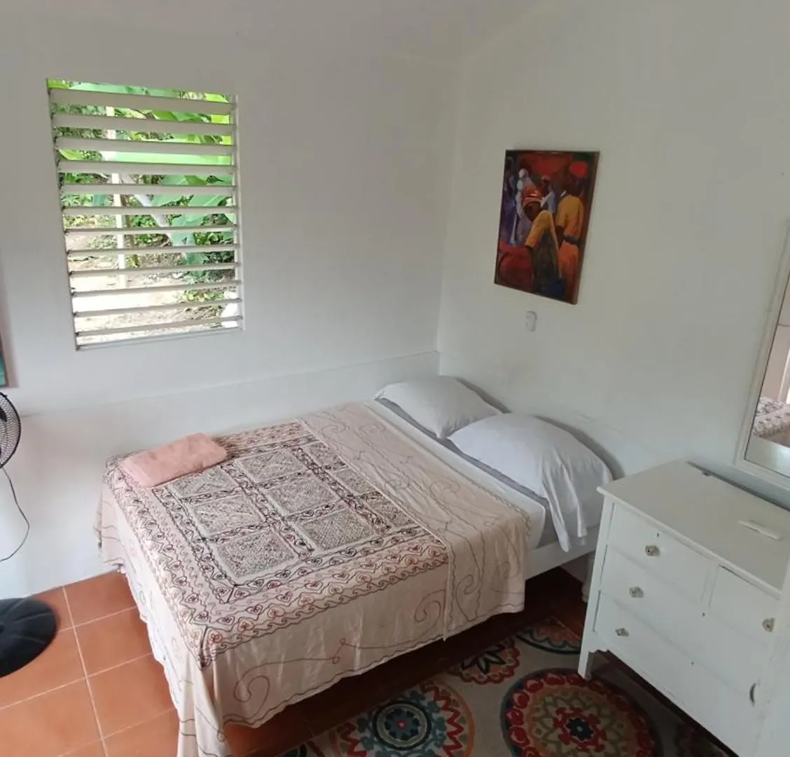 Mikuzi Hotel Port Antonio