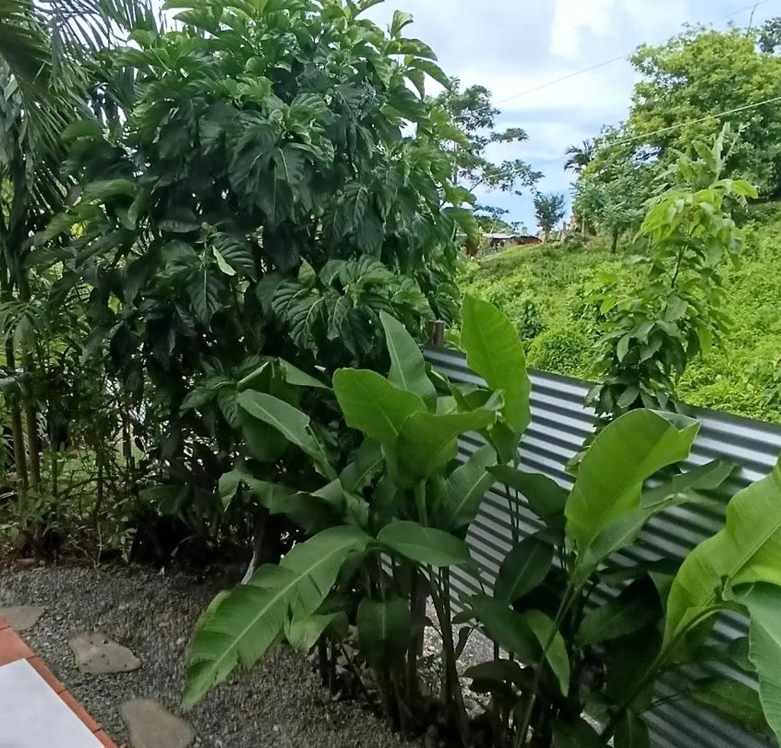 Guest house Mikuzi Hotel Port Antonio Jamaica